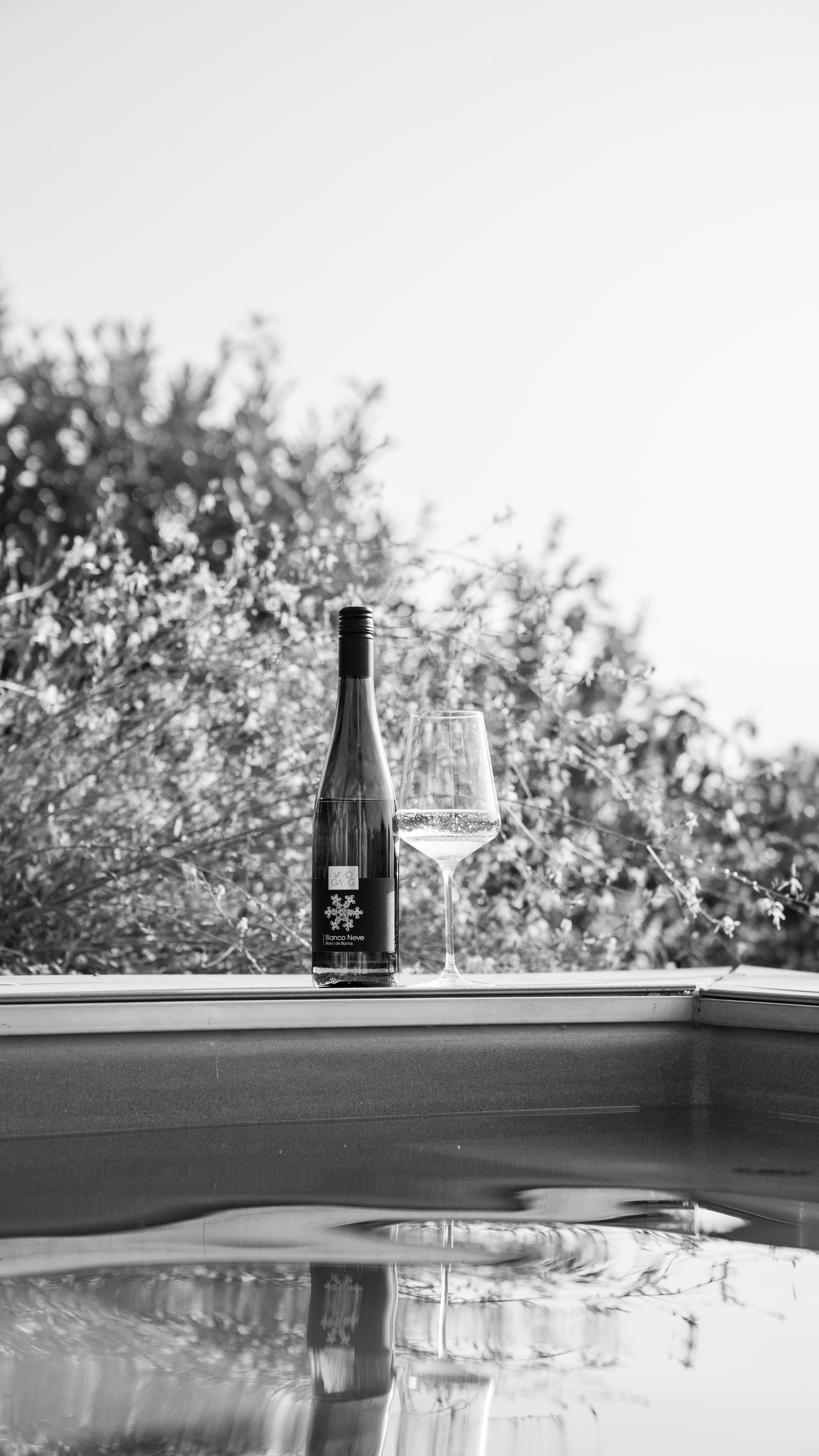 Vinogang Instagram